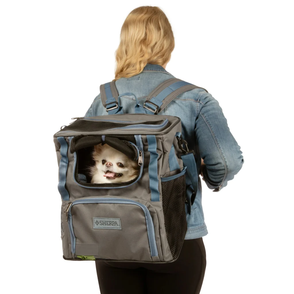 airline-approved cat carrier backpack
