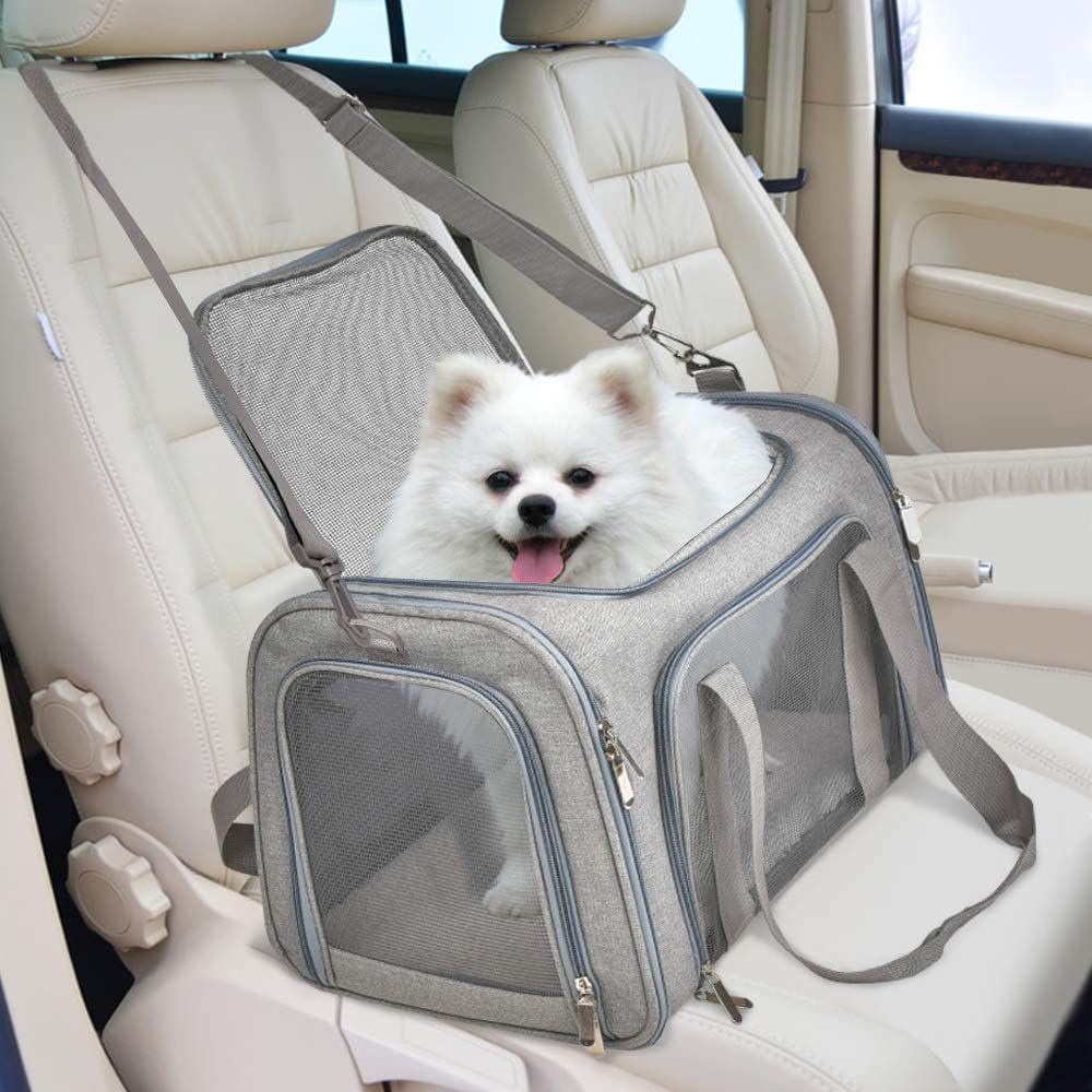 Can I buy an airline seat for my dog