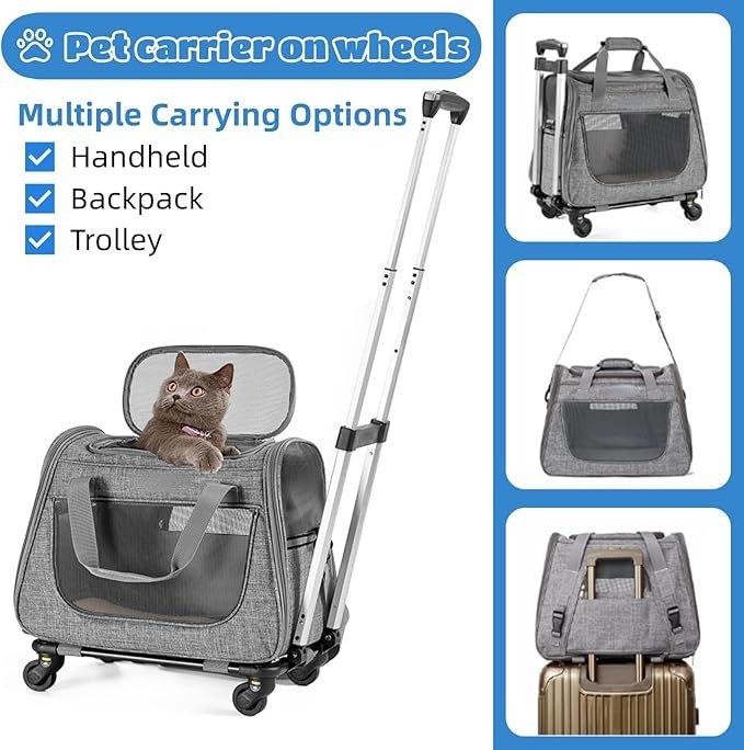 pet travel accessories