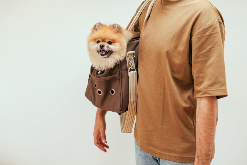  best airline-approved dog carrier